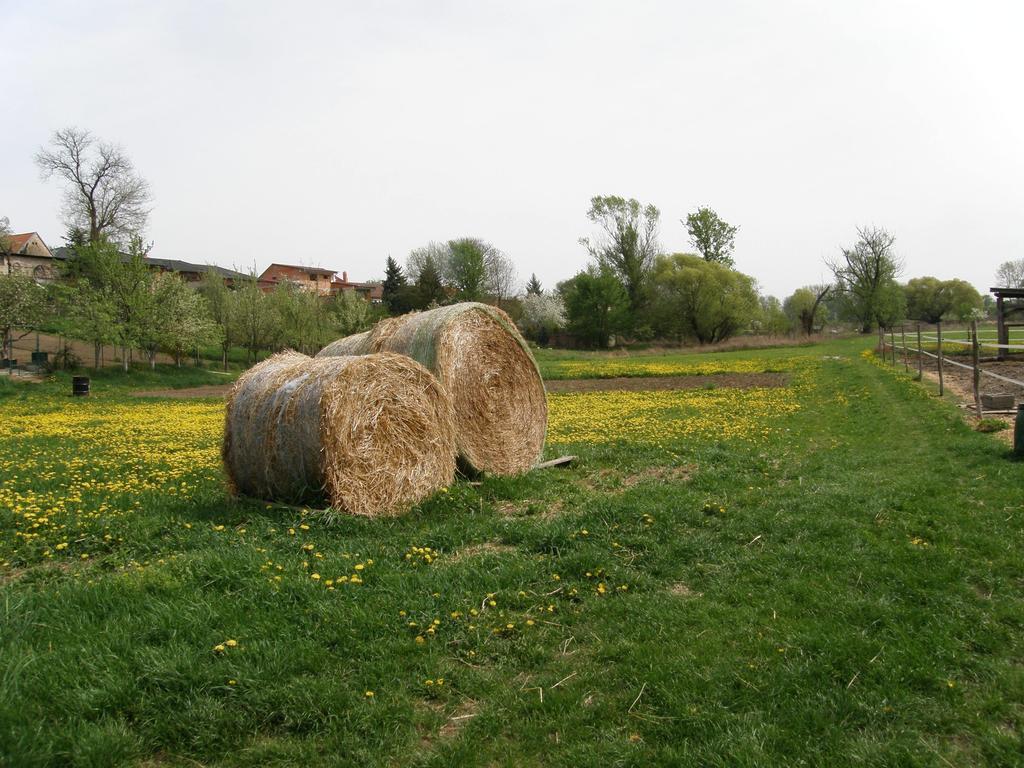 Vinny Sklep Kovarna Rohatec Buitenkant foto